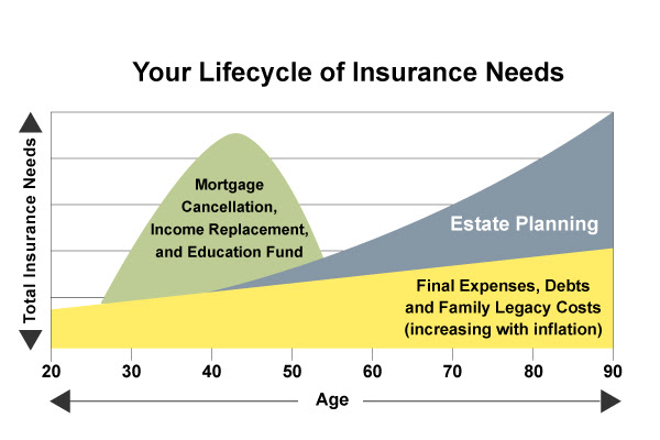 your lifecycle of insurance needs cfs wealth